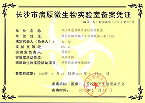 百乐森林舞会官网