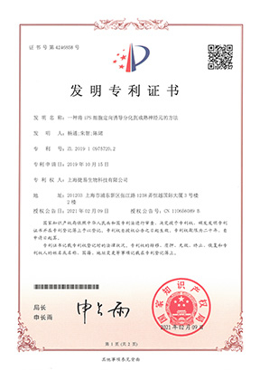 百乐森林舞会官网