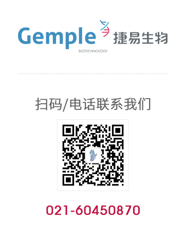 百乐森林舞会官网