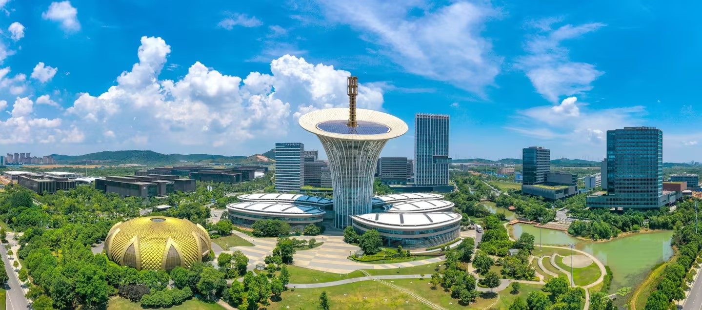 百乐森林舞会官网